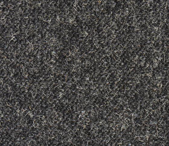 Rollerwool 700 | Wall-to-wall carpets | Ruckstuhl