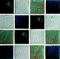 Verdigris Mix glazed tiles 10x10 cm | Carrelage céramique | Royce Wood