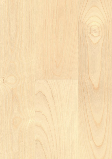Heritage Collection | Ash noblesse | Wood flooring | Admonter Holzindustrie AG