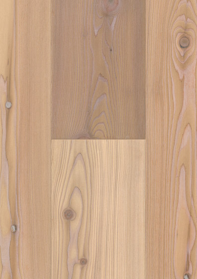Stammbaum Kollektion | Lärche gelaugt weiß naturelle | Holzböden | Admonter Holzindustrie AG
