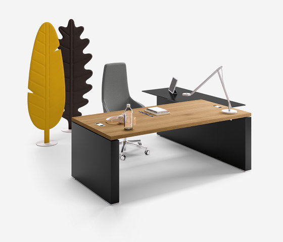 Ego executive | Desks | Sinetica Industries
