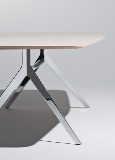 Star conference table | Tavoli contract | RENZ