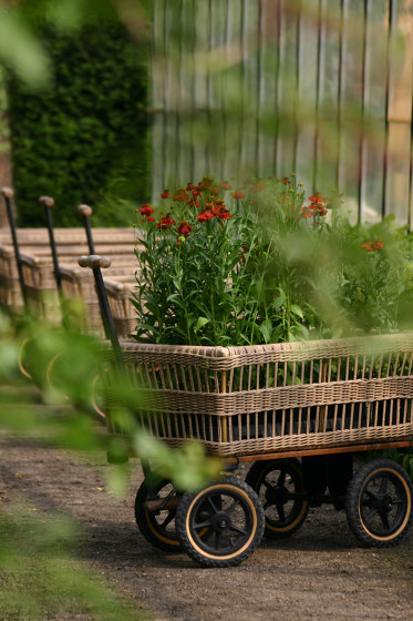 Wagon + panier | Chariots | TRADEWINDS