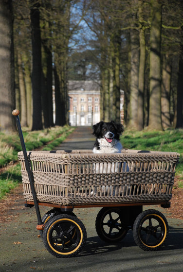 Wagon + Basket | Trolleys | TRADEWINDS