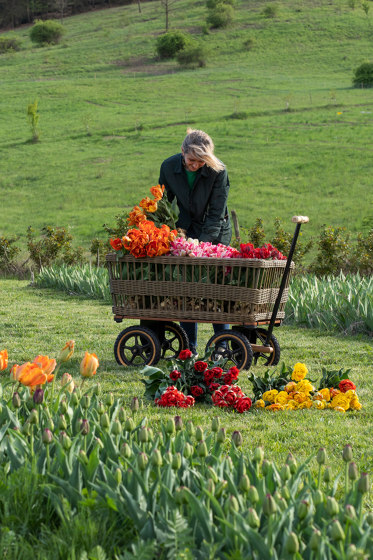 Wagon + Basket | Trolleys | TRADEWINDS