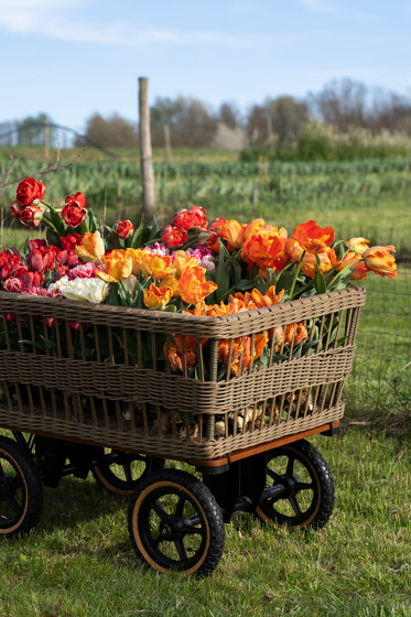 Wagon + Basket | Trolleys | TRADEWINDS