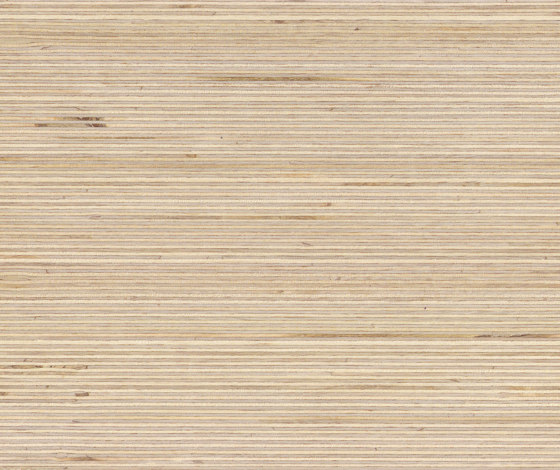 Plexwood - Abedul | Planchas de madera | Plexwood