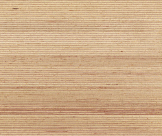 Plexwood - Beech | Wood panels | Plexwood