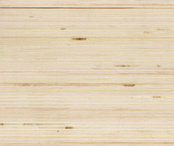 Plexwood - Álamo | Planchas de madera | Plexwood