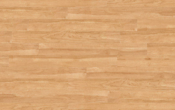 Floors@Home | 30 PW 1903 | Planchas de plástico | Project Floors