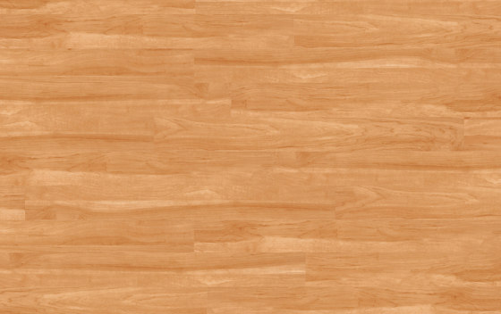Floors@Home | 30 PW 1905 | Planchas de plástico | Project Floors