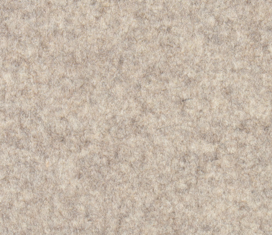 Feltro Color 40180 | Rugs | Ruckstuhl