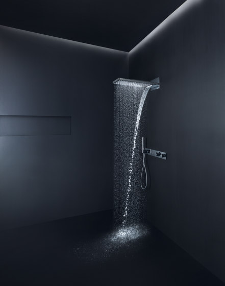 AXOR Starck Organic Baton Hand Shower 2jet DN15 | Shower controls | AXOR
