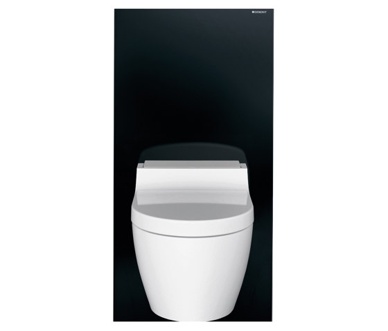 Monolith | sanitary module black / glass | Flushes | Geberit