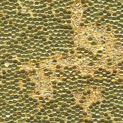 Beadazzled Leaf™ Green Leaf | Wall coverings / wallpapers | Maya Romanoff Corp.