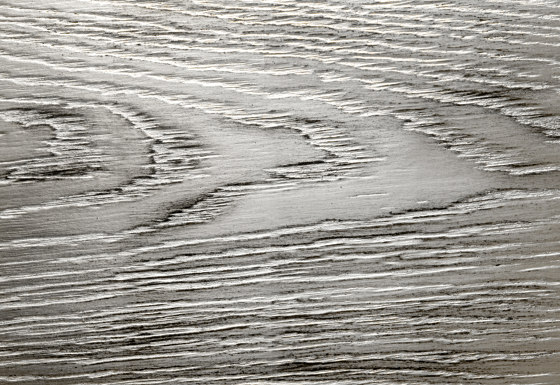 Wood | brushed | Paneles metálicos | VEROB