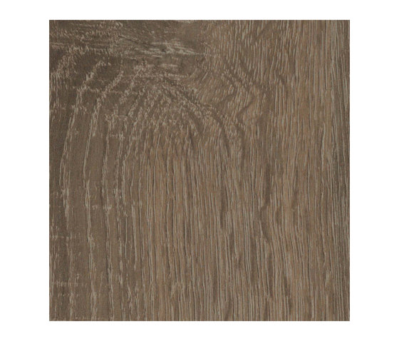 Truffle Sonoma Oak | Planchas de madera | Pfleiderer