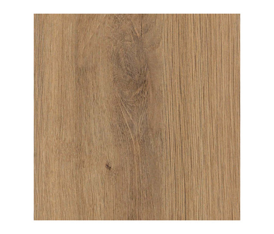 Chalet Oak natur | Holz Platten | Pfleiderer