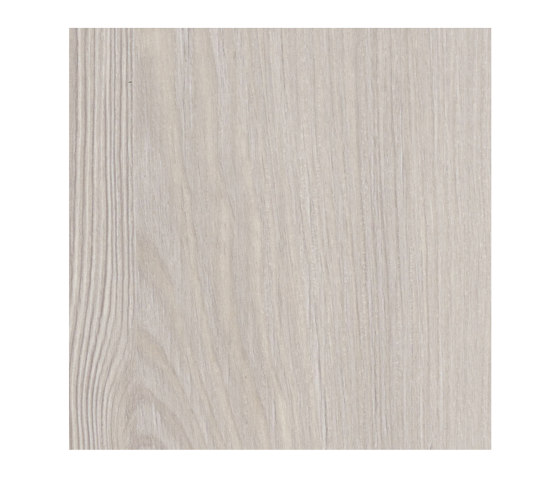 Pinie Fano weiß | Holz Platten | Pfleiderer