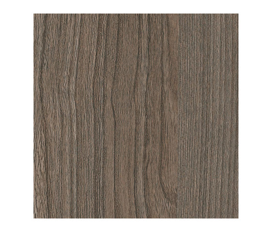 Ovid Elm Cinnamon | Planchas de madera | Pfleiderer