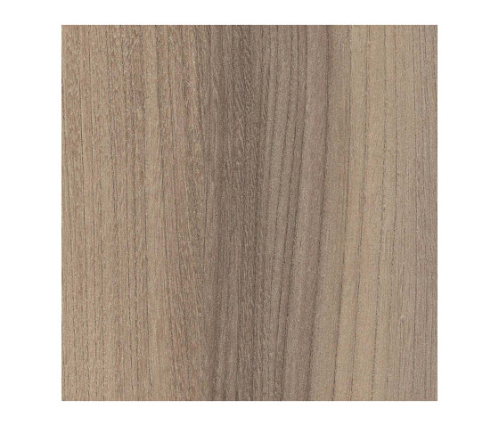 Truffle Baron Elm | Planchas de madera | Pfleiderer