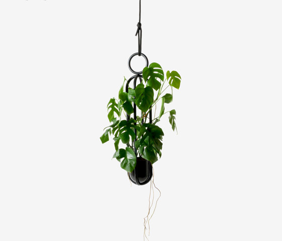 Blumenampel hanging room object | Plant pots | Atelier Haußmann