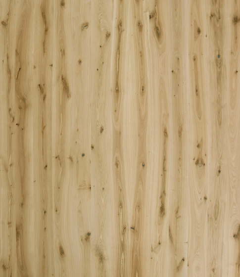Wooden panels Galleria | Oak rustic brushed | Wood panels | Admonter Holzindustrie AG