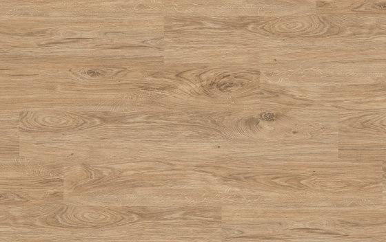 Floors@Work | 55 PW 3110 | Planchas de plástico | Project Floors