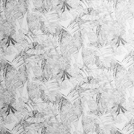 Jungle | Papier-peint noir | Revêtements muraux / papiers peint | Petite Friture