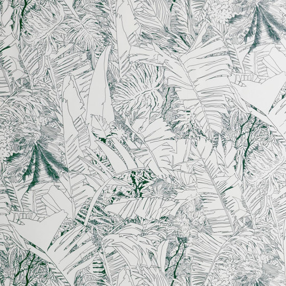 Jungle | Ink wallpaper | Wandbeläge / Tapeten | Petite Friture