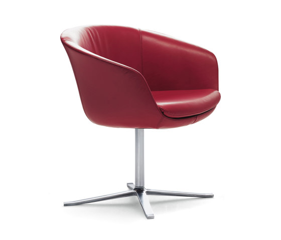 Bob Armchair | Sillas | Walter K.