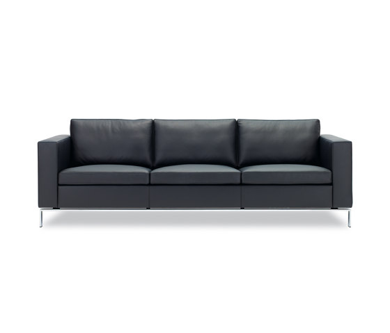 Foster 503 Sofa | Sofas | Walter K.