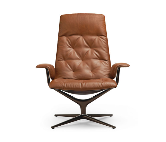 Healey Soft Lounge Chair | Fauteuils | Walter K.