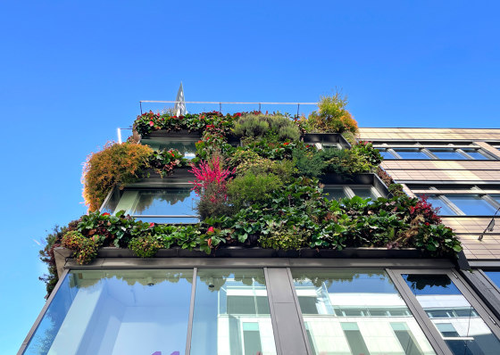 Outdoor Vertical Garden | Klara Zenit | Fassadenbegrünung | Greenworks