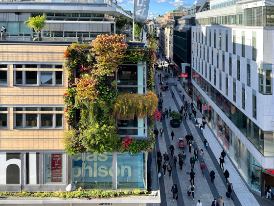 Outdoor Vertical Garden | Klara Zenit | Fassadenbegrünung | Greenworks