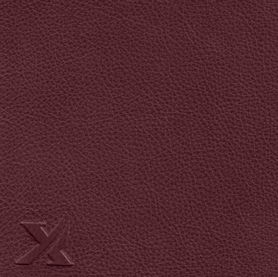 COUNT COMFORT 46251 Inka | Natural leather | BOXMARK Leather GmbH & Co KG