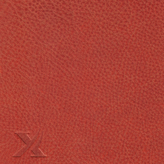 COUNT COMFORT 86100 Terracotta | Vero cuoio | BOXMARK Leather GmbH & Co KG