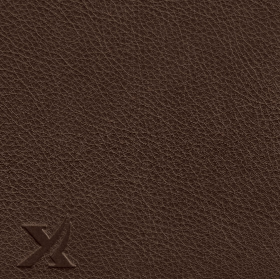 COUNT COMFORT 86309 Otter | Vero cuoio | BOXMARK Leather GmbH & Co KG