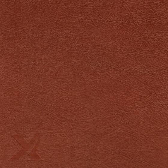 IMPERIAL PREMIUM 82111 Cognac | Cuir naturel | BOXMARK Leather GmbH & Co KG