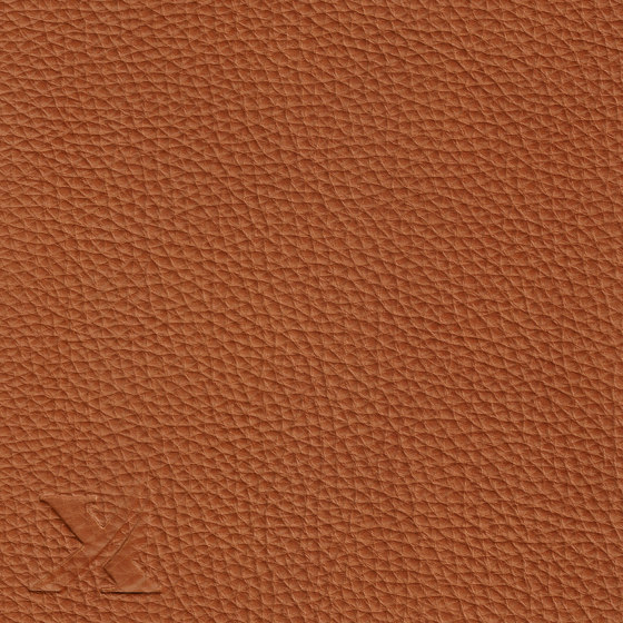 MONDIAL 88168 Walnut Light | Vero cuoio | BOXMARK Leather GmbH & Co KG