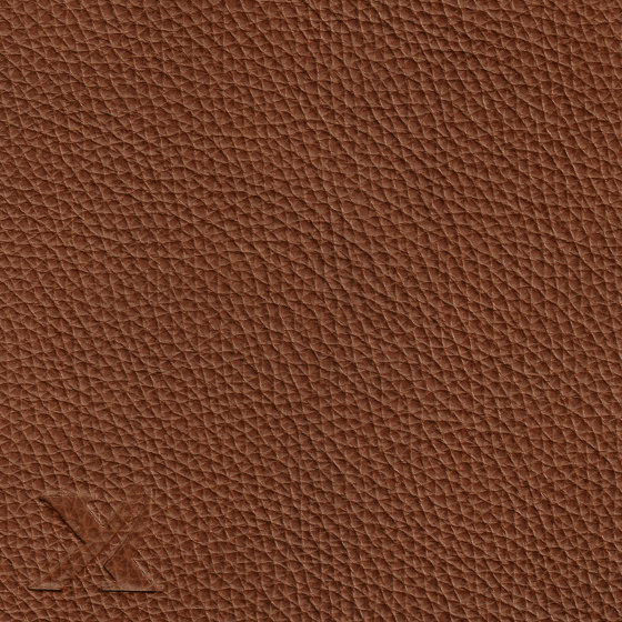 MONDIAL 88502 Espresso | Natural leather | BOXMARK Leather GmbH & Co KG