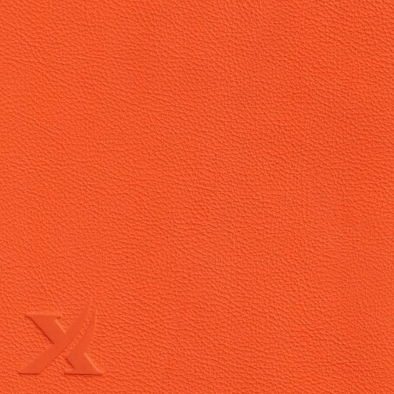 ROYAL 39120 Mandarine | Naturleder | BOXMARK Leather GmbH & Co KG