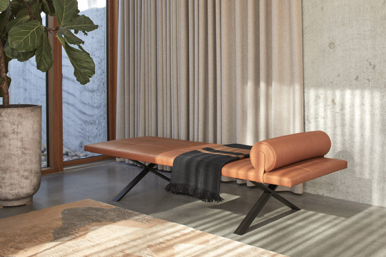Lax | Daybed | Lettini / Lounger | more