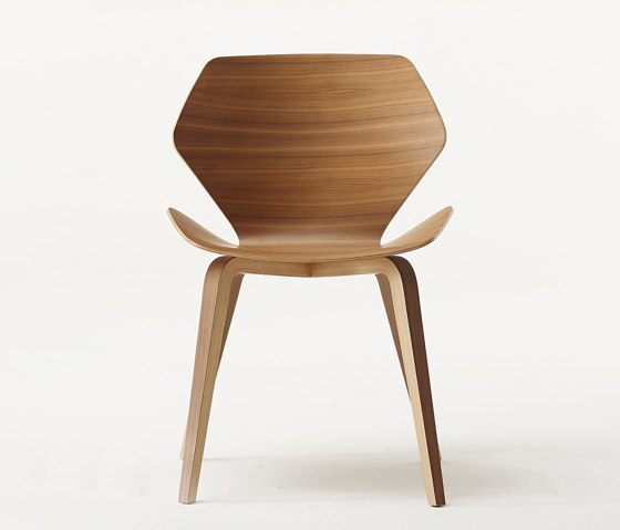 Gingko | Sillas | Davis Furniture