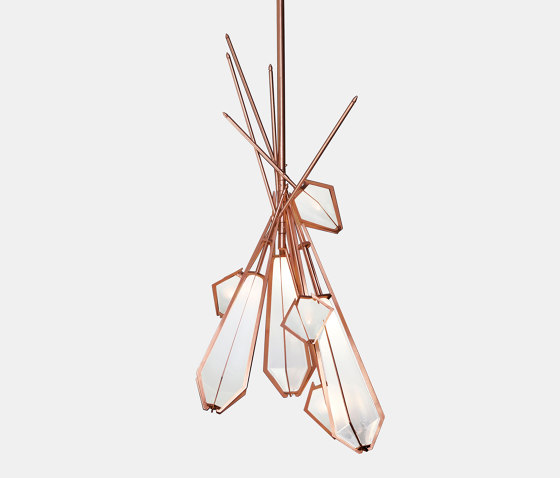 Harlow Dried Flowers Chandelier | Lámparas de suspensión | Gabriel Scott