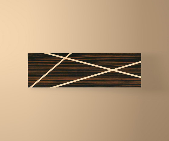 Wood Lines Accessory Box Ebony Makassar | Contenedores / Cajas | Ivar London