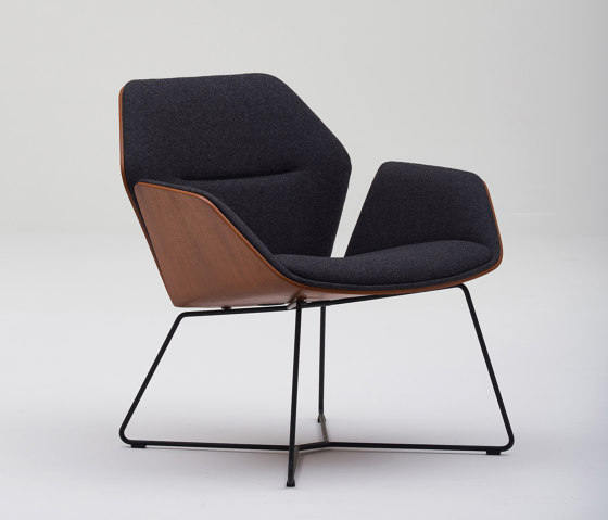 Ginkgo Ply Lounge | Armchairs | Davis Furniture