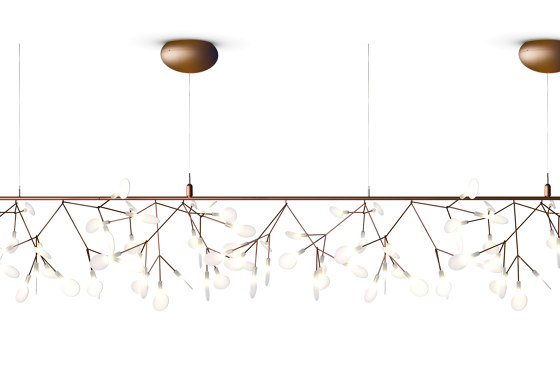 Heracleum Endless - Copper by moooi | Suspended lights