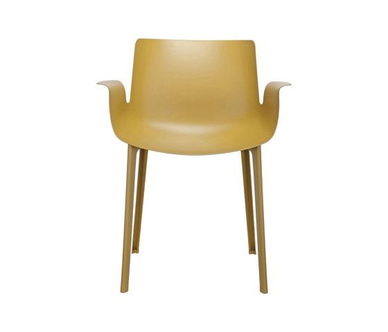 PIUMA MUSTARD | Sedie | Kartell