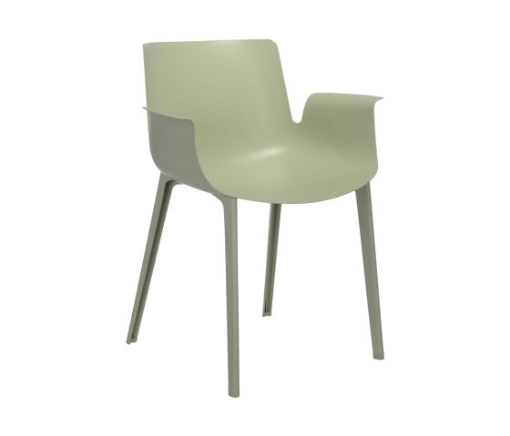 PIUMA SAGE GREEN | Sedie | Kartell